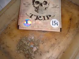 Head Trip Incense